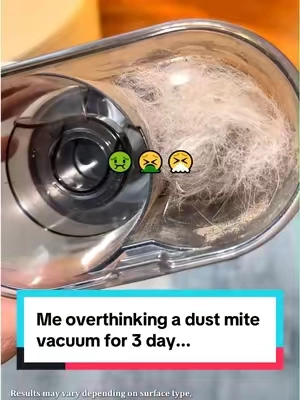 Me overthinking a dust mite vacuum for 3 day...#Feppo #mattressvacuum #dustmites #comeback #fyp 
