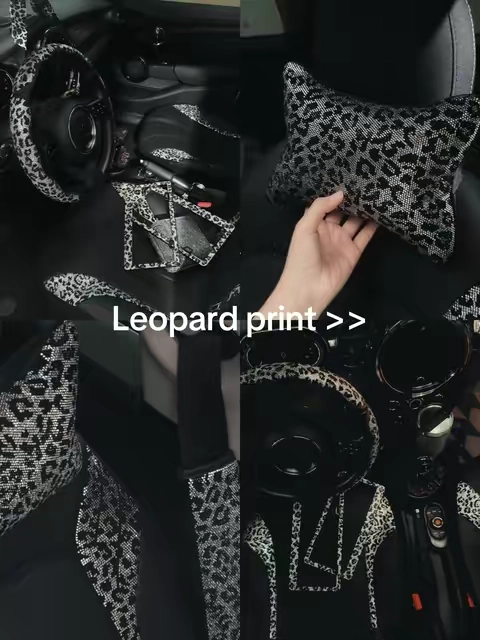 #leopardprint #y2kaesthetic #steeringwheelcover #girlycaraccessories #licenseplateframe 