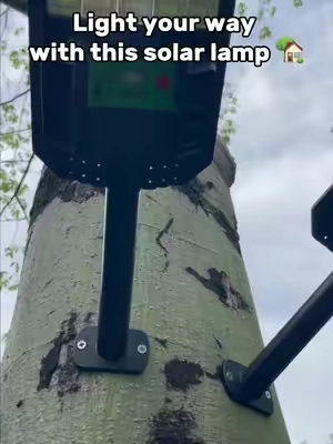 Sunlight is your power source-this street lamp says goodbye to electricity bills! #outdoorlights #solarlights#outdoorlighting#lights ljf-0806-2-zmf