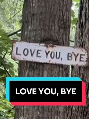 Do yall like this sign? #loveyoubye #homedecor #family #southern #yarddecor 