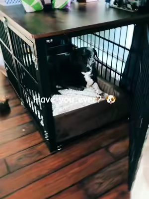 @PAWPUBBY PET #dogmom #dogbed #dogslife #dogparents 