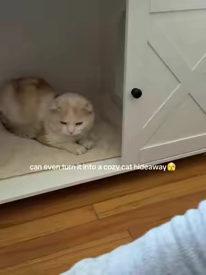 worth every penny 😼😽 #cattok #catsoftiktok #summerwins #catfurniture #homedecor 