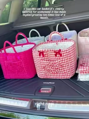 Is your backseat a black hole? This little beauty saves the day—cute, washable, and ridiculously handy. It’s a no‑brainer. Grab yours now before everyone else does! #carstoragebasket #caraccessory #organization #storagehacks #momlife #giftforher #musthave #tiktok #fly