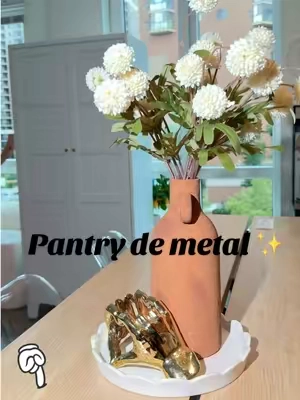 Pantry de metal Nuevo diseño ✨🔥gran capacidad de almacenamiento moderno minimalista y resistente 💯✨#metal #closet #storage #kitchen #organizedhome 