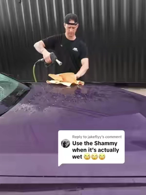 Replying to @jakeflyy unlike our towel the shammy left streaks… #fyp #blackline #detailing #carcare #dryingtowel 