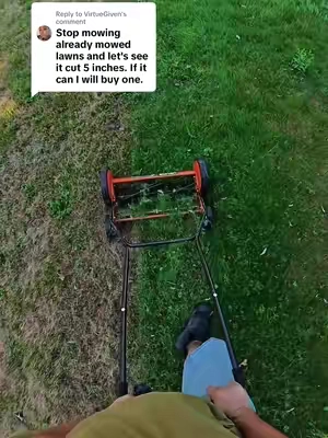 Replying to @VirtueGiven reel lawn mowers are the way to go for a healthy lawn #lawnmower #lawncare #pushmower 