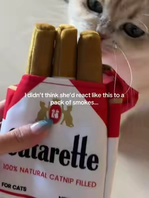 VERY potent (she was trying to claw it out of the cardboard package before i even opened it)