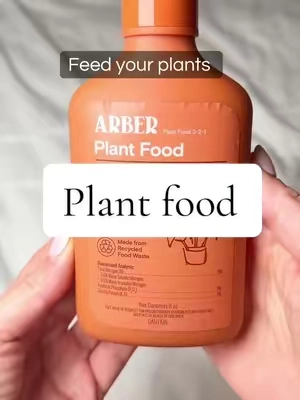 Watch your plants takeoff! #plants #gardening #garden #houseplants #backtoschool @Arber 