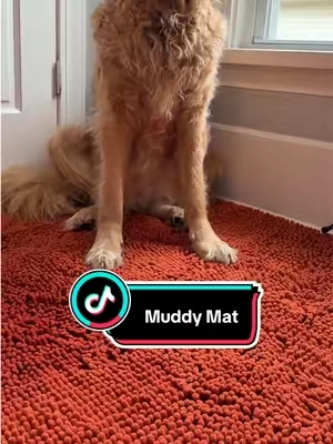 this is a no brainer time to snag the best rugs money can buy  #muddymat #doormat #CleanTok #dirtydog #rug 