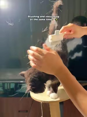Does Your Cat’s Fur Fly Everywhere Too#spraycomb  #catcomb   #catpick  #catlove   
