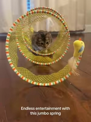 Nova approved🥹✅#catsoftiktok #kittycatsoftiktok #cattoys #foryoupage #fyp 