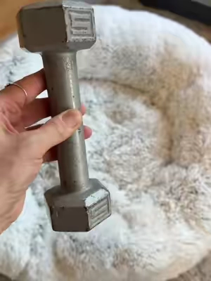 This orthopedic dog bed definitely changes the game in our opinion!🙌#dogbed #dogessentials #dogparents #orthopedicdogbed 