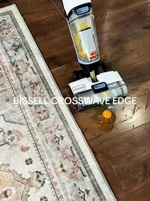 Your rugs are like sponges 🤮 
