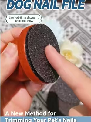 The artifact of trimming dog's toenails#summerwins #petlover #pethealth #nailfile #dog 