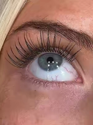 all time faves ✨ @OKAYLOVE #lashclusters #naturallashes #beauty #fakelashes #fyp 