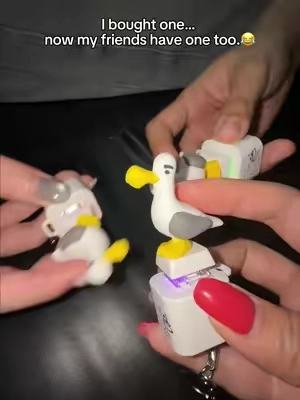 Mine! Mine! Mine! 😍#seagull #button #keychain #StressRelief #TikTokshopbacktoschool 