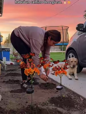 En esta casa no los hemos olvidado. Cada noviembre encendemos el camino para recibirlos. 🏠🕯️
#DiaDeMuertos #CaminoACasa #OfrendaMexicana #Cempasuchil #TradicionesDeMexico