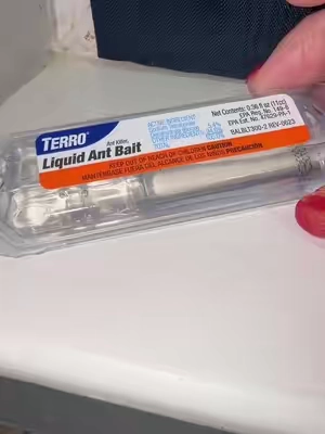 If you have an ant problem, this is an easy solution! #terroantbait #ants #antbait #liquidantbait #tiktokshopcreatorpicks @TERRO 