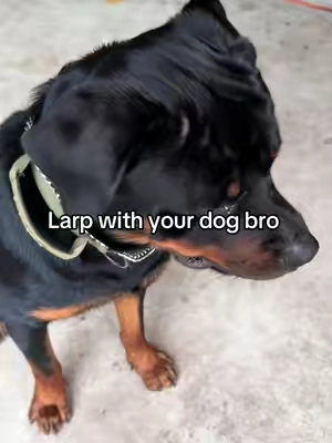 7671361567329504543