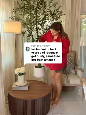 Replying to @︎ #olivetree #fauxolivetree #homedecor #homefind #artificialolivetree 