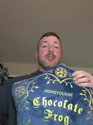 Jay Franco Official Harry Potter Honeydukes Chocolate Frog Pillow - 16in Soft Padded Cushion, Blue Plush Pillow, Whimsical Room Decor, Fun Size Unique Gift for Harry Potter Fans