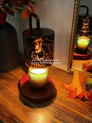 Loving my new candle warmer, just in time for fall🕯️✨