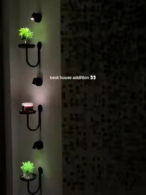 i’m loving these lights ngl #homedecor #lights #holder
