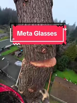 i’ve genuinely never seen them even close to this cheap #meta #glasses #rayban #tree #pov 