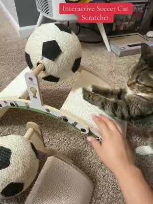 Interactive Soccer Cat Scratcher #cat #catsoftiktok 
