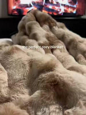 i can’t make this up… the coziest blanket ever 