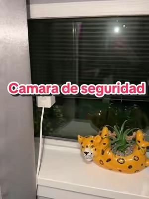 Wyze Window Cam — Wired 1080p . . . . . #fyp #tiktokshopcreatorpicks #tiktokshopsummersale #wyze #camara 