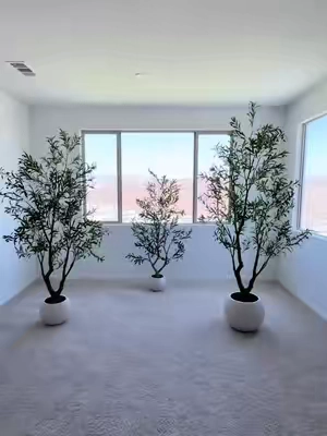 realistic artificial olive tree, faux olive tree, fake olive tree, realistic fake tree, artificial indoor tree, 5 foot olive tree, 6 foot olive tree, 7 foot olive tree, 8 foot olive tree, tall faux tree, living room decor, artificial plants, modern home decor, luxury home aesthetic, indoor tree decor #OliveTree #FauxPlants #HomeDecor #InteriorDesign #TikTokFinds
