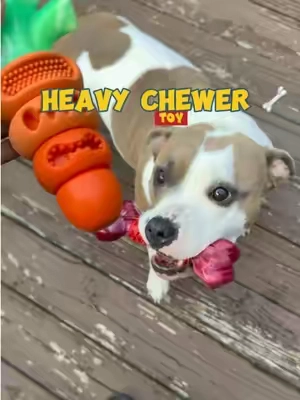 You LOVE your dog 🦴 GET THEM THIS! @Apasiri Pet Store #chewtoy #dogtoy #pettoy #dogtok #fyp 