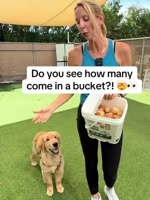 Do you see how many come in a bucket?! 🤯👀 & only 3 ingredients?! @Mighty Paw #mightypaw #yakcheese #dogsoftiktok 