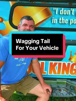 #creatorsearchinsights #CarAccessories #CarMustHaves #CarGadgets #TikTokshopbacktoschool