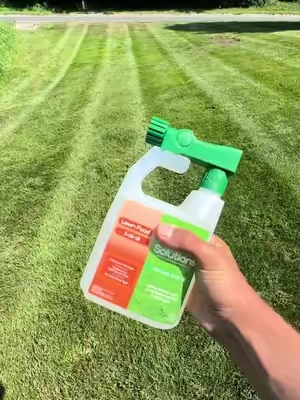 I absolutely love simple lawn solutions! #lawnfertilizer #browngrass #lawncare #fertilizer #tiktokshopcreatorpicks 
