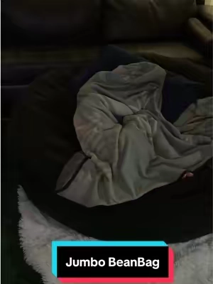 Clearly, it super comfortable!! Yall better grab one for them kids! #beanbag #beanbagchair #comfortable #tiktokshopcreatorfinds 