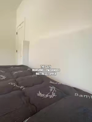 7671757849642503454