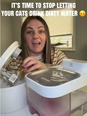 this is one thing I truly do wish I knew about sooner! 🤩 🐈‍⬛  #catproducts #catwaterfountain #catbowl #catlover #cathealth 