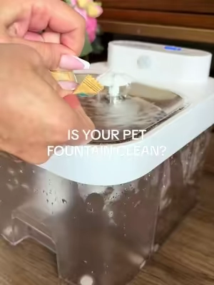 It was so easy and you 24 tablets free shipping. 10/10 #petfountain #catwaterfountain #petfountaincleaner #tiktokshopsummersale #tiktokshopcreatorpicks 