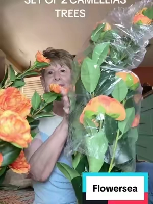 #flowerseastudio#2camalliatrees#uvprotection#fall#tiktoksummersale 