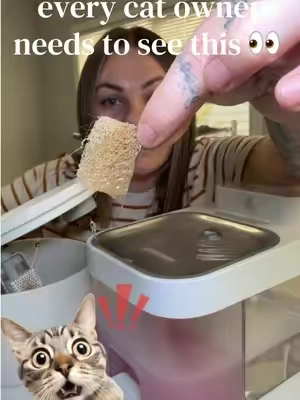 I can’t believe my poor babies were drinking such dirty water 😢  so thankful that I found this water fountain that will ensure my cats always have fresh clean water. 💓 #catproducts #catlover #catwaterfountain #cathealth #cattips 