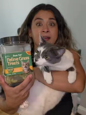 comida para gatitos @Just Try Pet US #catfoodtips #catfood #comidaparagatos #catsoftiktok #catlovers 