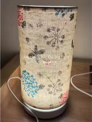 #lamp #minilamp #dragonfly #ledlamp 