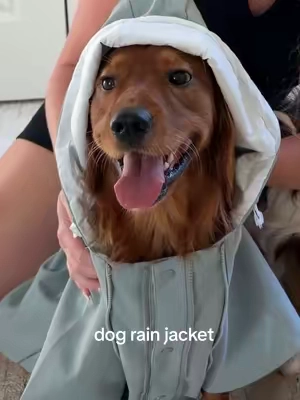 honest sizing review before you order this rain jacket 🐾🌧️🌂 #dograinjacket #cutedog 