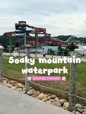 Waterpark experience 💯❤️#tennessee #waterpark #contentcreator #swimsuit #goggles 