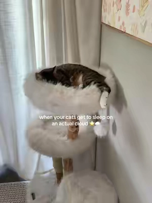 the cat tower of my dreams (and theirs) ✨ this has to be one of the most luxe towers I’ve found yet- tell me she doesn’t look like she’s sleeping on a literal fluffy cloud 🥹 such good quality and it matches our home aesthetic perfectly #fyp #cats #catsoftiktok #cattree #cattower 