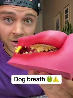 Dog have bad breath #dog #dogparents #dogbreath 