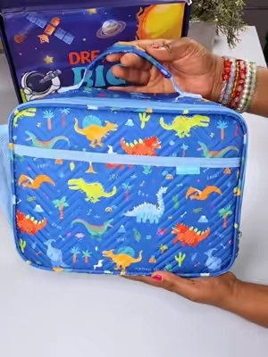 #lunchbag #haitianusa #kidsbag #bag #tiktokmademebuyit 