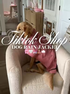 Dog rain jacket 🌸🤍💒🧘🏼‍♀️☁️#fyp #dograinjacket #dogclothing #dogclothes #dogaccessories 